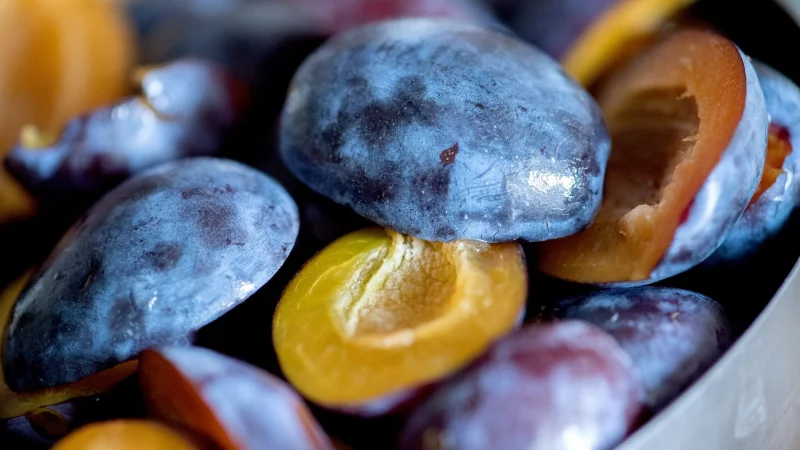 Die typisch wei&szlig;liche Schicht von Pflaumen und Zwetschgen sollte erst kurz vor dem Entkernen abgewaschen werden. Sie sch&uuml;tzt vor dem Austrocknen. - &copy; Andrea Warnecke/dpa-tmn