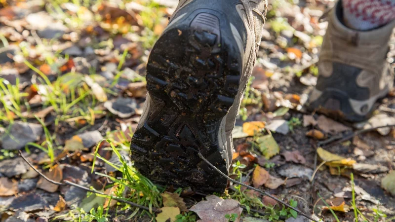 Shit Happens! Grobe Verschmutzungen können zunächst mit einem Taschentuch oder Blättern entfernt werden. - © Christin Klose/dpa-tmn