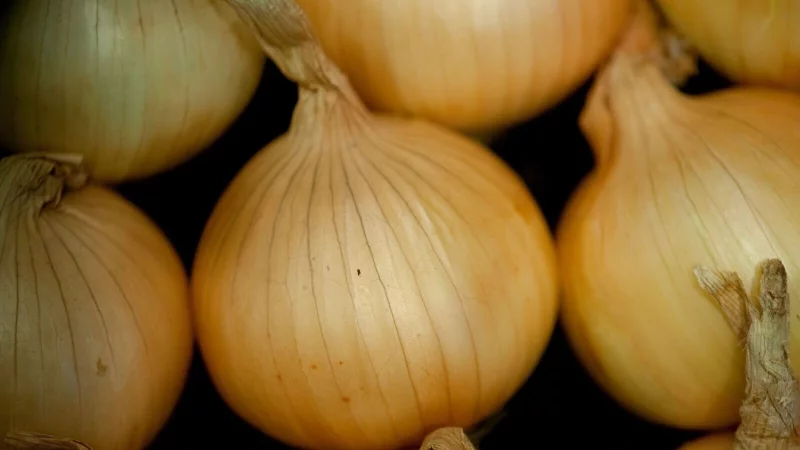 So makellos bleibt die H&uuml;lle nicht ewig: Auch Zwiebeln k&ouml;nnen keimen. - &copy; Klaus-Dietmar Gabbert/dpa-tmn