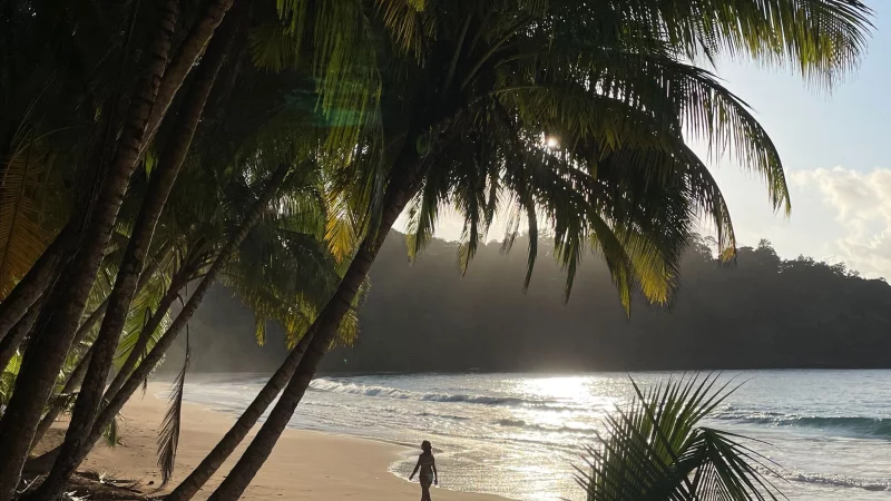 Dieser Traumstrand liegt beim &laquo;Bom Bom Resort&raquo; am Nordzipfel von Pr&iacute;ncipe. - &copy; Manuel Meyer/dpa-tmn