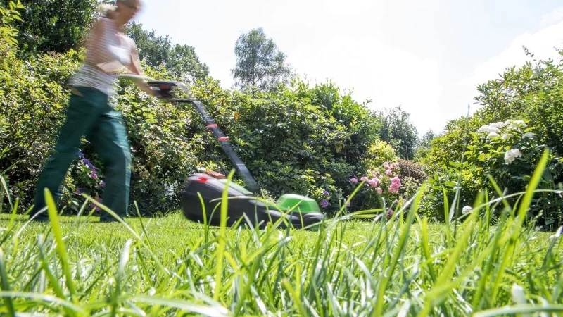 Kurz getrimmt oder dichtes Gras? Für Gartenliebhaber und Gartenliebhaberinnen sowie für Tiere hat es viele Vorteile, wenn seltener gemäht wird. - © Christin Klose/dpa-tmn