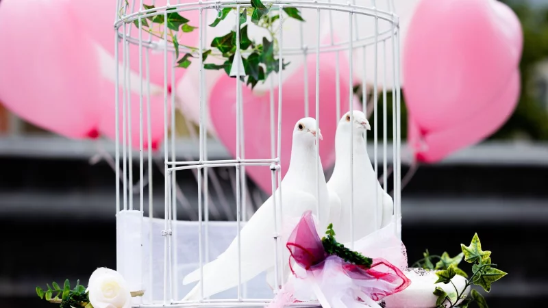 Zwei wei&szlig;e Tauben... sind gar keine gute Idee. Die Tiere &uuml;berleben wom&ouml;glich nicht - und das will man ja f&uuml;r die Liebe des Paares nicht hoffen. - &copy; Rolf Vennenbernd/dpa/dpa-tmn