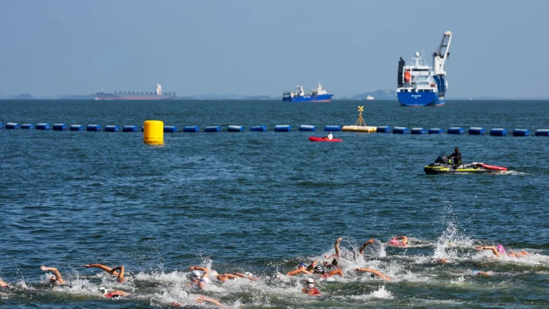 Die deutschen Schwimmerinnen verpassen im WM-Freiwasserrennen &uuml;ber zehn Kilometer die Medaillen. - &copy; Vincent Thian/AP/dpa