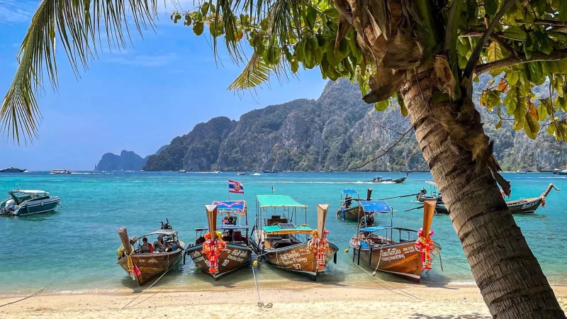 Rückkehr ins Paradies: Beliebte Tauchplätze rund um Ko Phi Phi öffnen wieder. - © Nadja Aumiller/dpa-tmn