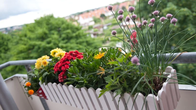 Wird in der Eigent&uuml;merversammlung der Beschluss gefasst, dass Blumenk&auml;sten k&uuml;nftig innen am Balkon h&auml;ngen m&uuml;ssen, ist dies rechtens. - &copy; Andrea Warnecke/dpa-tmn