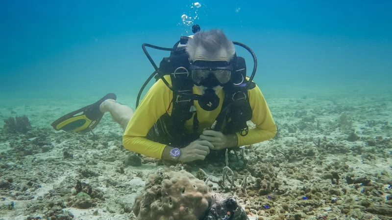 Hannes Jaenicke beim Tauchen in Indonesien mit einer Gro&szlig;en Blauen Krake (Day Octopus) im Vordergrund. - &copy; Markus Strobel/Tango Film Gmbh/ZDF/dpa