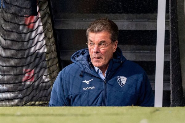 Dieter Hecking will Bochum aus dem Tabellenkeller führen. - © David Inderlied/dpa