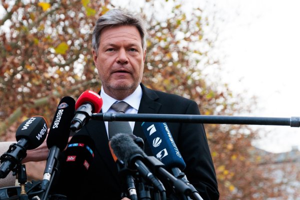 Die Grünen sind offen für einen früheren Neuwahltermin als von Scholz angestrebt. - © Carsten Koall/dpa