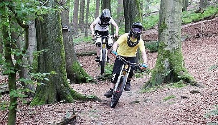 Im Affenzahn durch den Wald - © Oerlinghausen