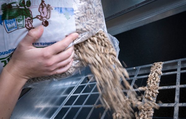 Die Holzpellets lagern in Vorratsbehältern. Öfen und Heizungen versorgen sich darüber dann selbstständig. - © Florian Schuh/dpa-tmn