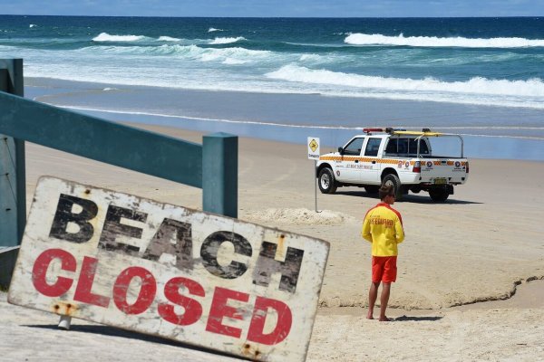 Weil eine Gruppe von Hammerhaien in der Badezone ihre Runden zog, musste ein beliebter Strand in Sidney gesperrt werden. - © Dave Hunt/AAP/dpa-tmn/Symbolbild