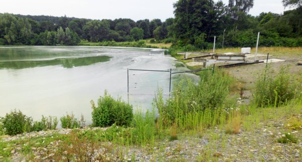 Im Schieder-See bilden sich derzeit gefährliche Blaulagen im Wasser. - © Wolfgang Rose