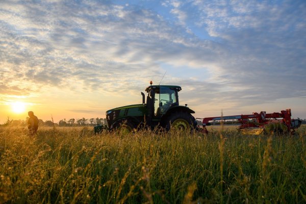 Was verdienen Landwirtinnen und Landwirte? Das Verbraucherportal «Landwirtschaft.de» kennt die Antwort auf diese und andere Fragen. - © Klaus-Dietmar Gabbert/dpa/dpa-tmn