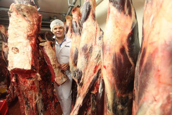 Reifeprozess direkt am Knochen: Bei Fleischer Stefan Tönebön in Barntrup hängen die edelsten Fleischstücke vom Rind ganze vier Wochen im  Kühlhaus. - © Vera Gerstendorf-Welle