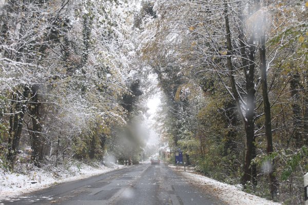 Der Wintereinbruch hat in und um Lippe am Dienstagmorgen vielerorts zu Störungen im Verkehr geführt. Unser Bild zeigt eine Strecke im Westen Lippes. - © Vera Gerstendorf-Welle