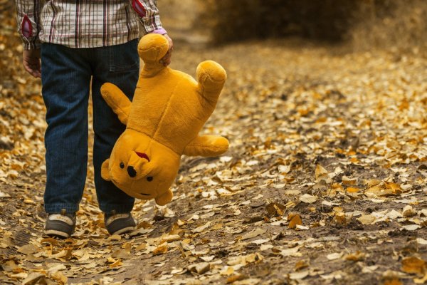 Herbst in der Seele: Sexueller Missbrauch hinterlässt Spuren bei den Opfern. Um den Sohn von Linda T. nicht auch noch Problemen im sozialen Umfeld auszusetzen, zeigen wir an dieser Stelle ein Symbolfoto. - © Symbolfoto: pixabay