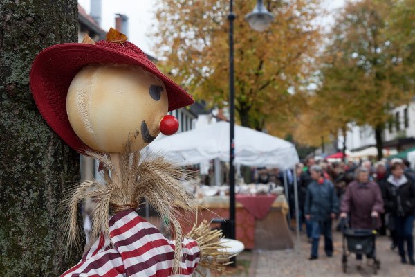 Herbststimmung: Bunt geschmückt wie hier an der Allee präsentiert sich am Wochenende der Bauernmarkt in Bad Meinberg. Dazu werden Tausende Besucher aus der Region im Herzen des Staatsbades erwartet. - © Torben Gocke