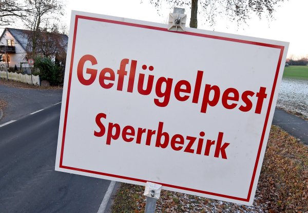 Rund um das Steinhorster Becken wurde ein Sperrbezirk eingerichtet. - © dpa (Symbolbild)