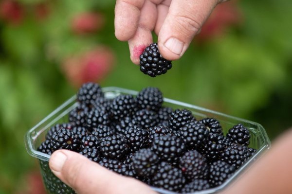 - © Friso Gentsch/dpa/dpa-tmn