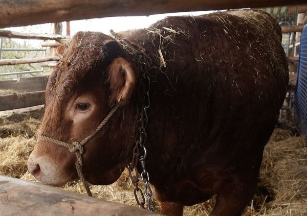 - © SYMBOLFOTO: DPA