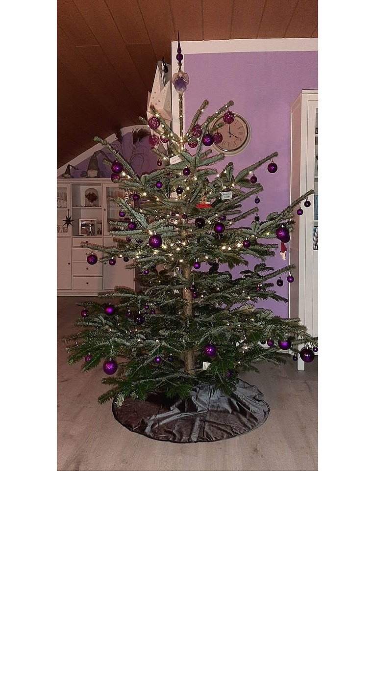 Weihnachtsbäume in Lippe