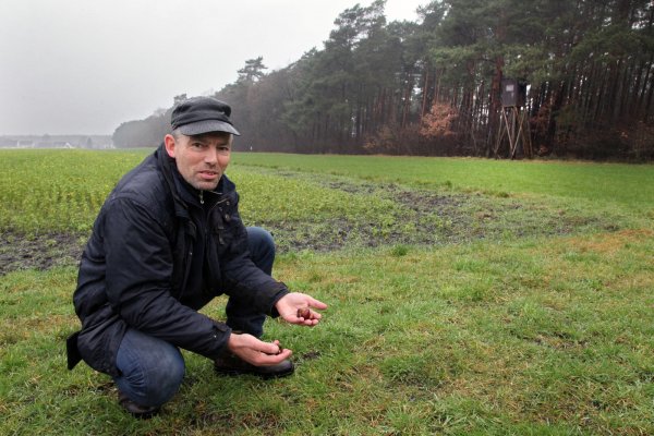 Lockmittel: Karsten Schier hat auf einem Spaziergang auf einer Wiese zwischen Haustenbecker Straße und Truppenübungsplatz eine Futterspur aus Kastanien und Mais entdeckt. Wenige Meter entfernt steht ein Jägerhochsitz am Waldrand. - © Bernhard Preuss