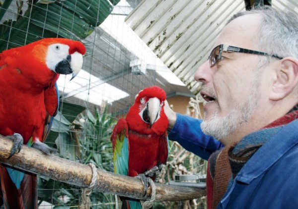 Verstehen sich: Wolfgang Busse und die Papageien. - © Archiv