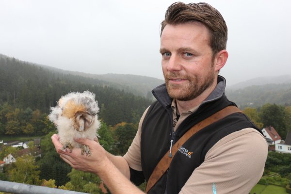 Ein Fall für die Auffangstation: Falkner Benjamin Aschmann mit einem kleinen Patienten. Die Schleiereule ist ungefähr drei Wochen alt und im Teutoburger Wald aus dem Nest gefallen. - © Janet König