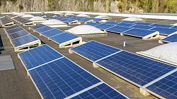 Die Verg&uuml;tung f&uuml;r ins Netz eingespeisten Solarstrom wird zum ersten Februar um ein Prozent reduziert. - &copy; picture alliance / imageBROKER