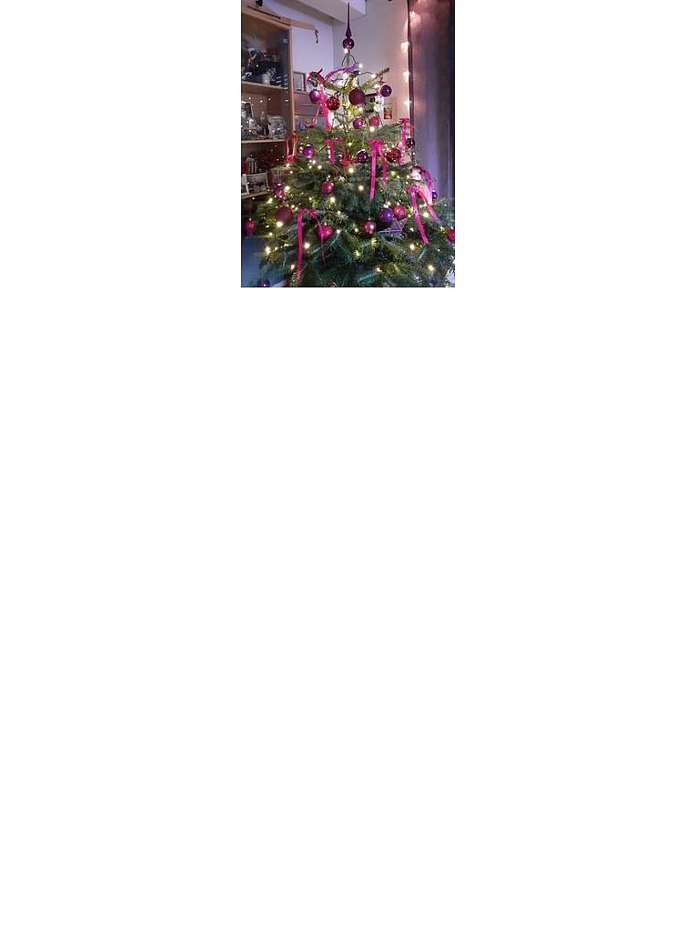 Weihnachtsbäume in Lippe