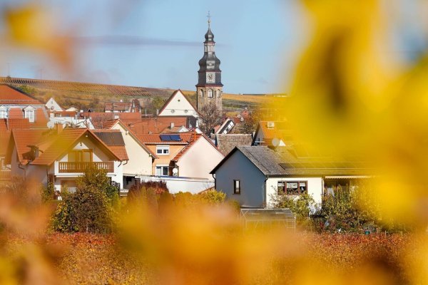 Der kleine Winzerort Kallstadt an der Weinstraße ist der Heimatort von Trumps Vorfahren. (Archivbild) - © Uwe Anspach/dpa/dpa-tmn