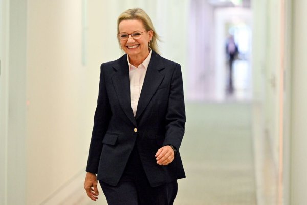 Sussan Ley galt als Favoritin des moderaten Lagers. - © Mick Tsikas/AAP/dpa