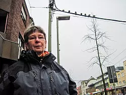 Angelika Dumalski achtet auf die Tauben in der Hauptstra&szlig;e &ndash; aber selbst sie kann das Tier mit den zusammengebundenen Beinen auf der Abspannleitung nicht von Weitem identifizieren. - &copy; FOTO: DENNIS ROTHER