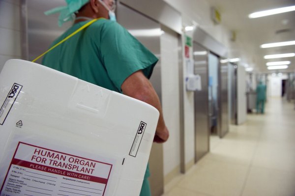Mehr Organspenden werden weiterhin dringend benötigt. (Archivbild) - © Soeren Stache/dpa