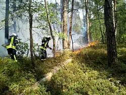 Die Augustdorfer Feuerwehr löscht wieder einen Brand im Furlbachtal. - © Feuerwehr Augustdorf