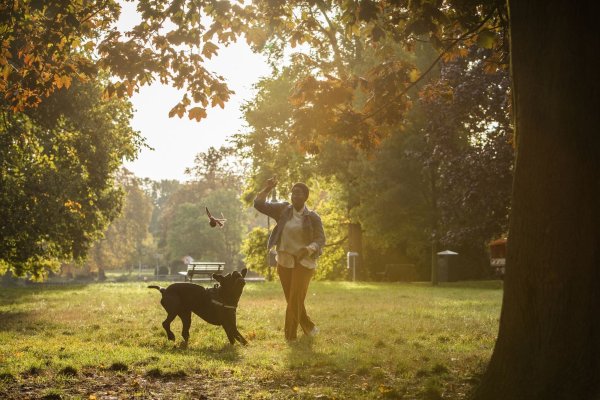 Spiel und Spaß lohnt sich: Findet ein Hund seine Bezugsperson spannend, kooperiert er lieber. - © Christin Klose/dpa-tmn