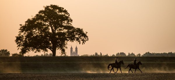 Rauch aus Kanada kann die Luft trüb wirken lassen und zu spektakulären Sonnenuntergängen führen. (Illustration) - © picture alliance / dpa
