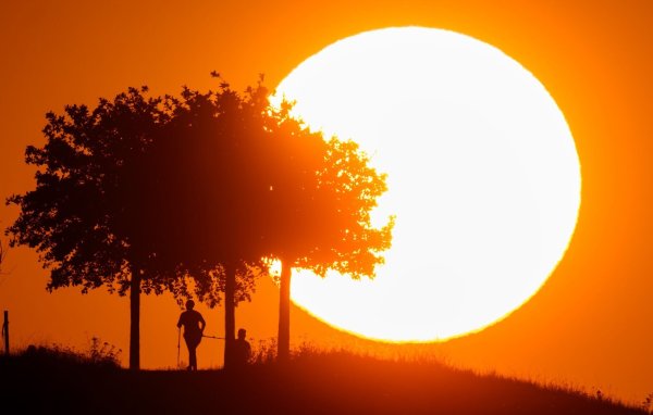 Hitze in Deutschland: Tage mit extremer Belastung werden häufiger. - © Julian Stratenschulte/dpa