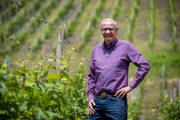 In den Weinbergen wächst ausschließlich Riesling. - © Harald Tittel/dpa