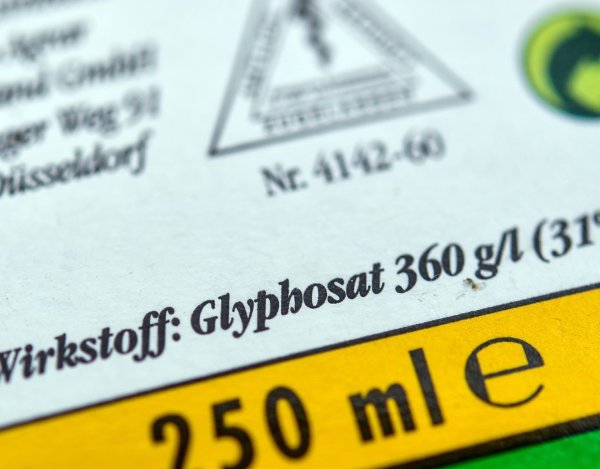 Umstrittenes Glyphosat - © Foto: Patrick Pleul