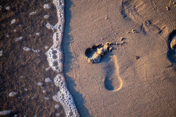 Nachhaltig in den Urlaub? Das ist nicht so kompliziert, wie man denkt und positiv für den eigenen ökologischen Fußabdruck. - © Stefan Sauer/dpa-zentralbild/dpa-tmn