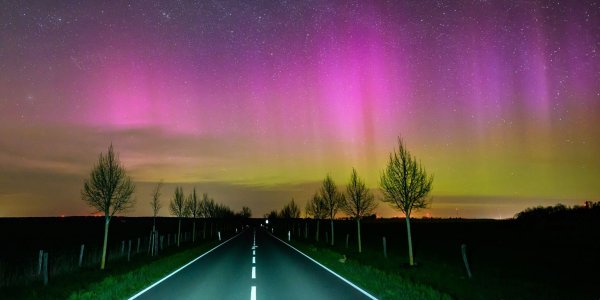 Seltenes Naturschauspiel: In der vergangenen Nacht waren Polarlichter über Teilen von Brandenburg zu sehen. - © Patrick Pleul/dpa