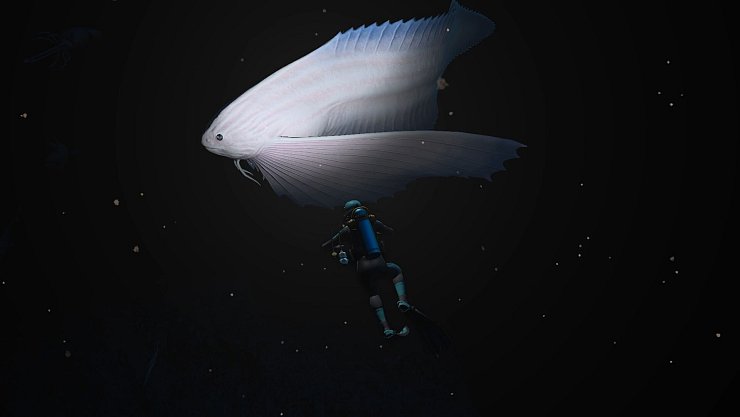 Geheimnisvolle Fische begegen uns. - © Nintendo