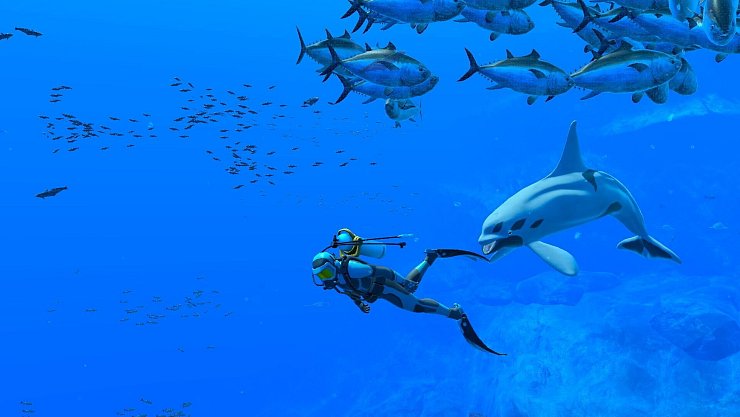 Was sich hier alles tummelt unter Wasser! - © Nintendo