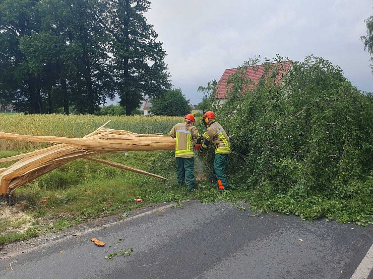 In Lage räumt die Feuerwehr am Sonntagnachmittag einen umgeknickten Baum von der Straße. Ein Blitz war hier in der vorherigen Nacht eingeschlagen. - © Feuerwehr Lage