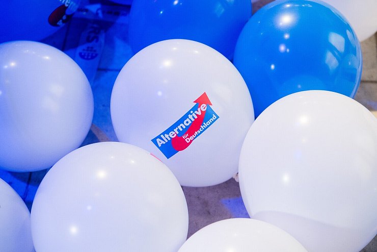Die FDP habe sich im Heizungsstreit "sozusagen als AfD light" präsentiert und der AfD so Auftrieb gegeben, sagen Politologen. - © picture alliance / Julian Stratenschulte/dpa