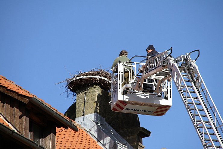 Naturfilmer Robin Jähne (in olivgrüner Jacke) und Frank Hoppe von der Freiwilligen Feuerwehr Lemgo (schwarzes Outfit) in luftiger Höhe. - © Landesverband Lippe