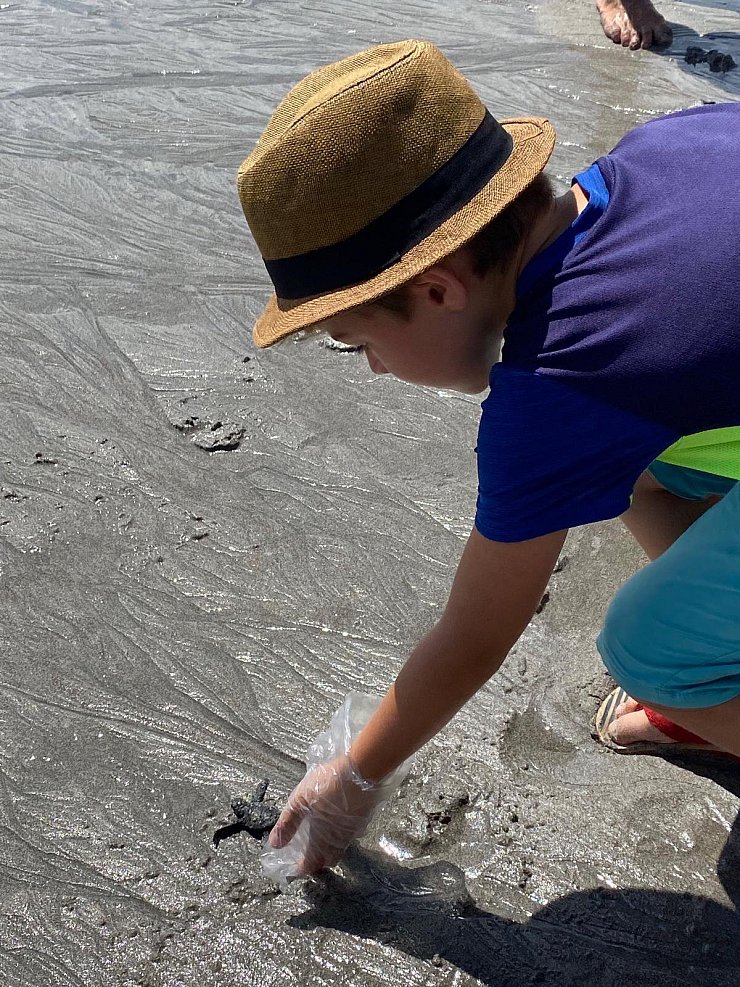 Fred hat am Strand eine Babyschildkröte entdeckt. - © Kühnen