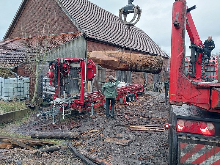 Impressionen vom Aufsägen des Eichenstammes und vom Transport der Bank. - © Ev.-ref. Kirchengemeinde Bösingfeld