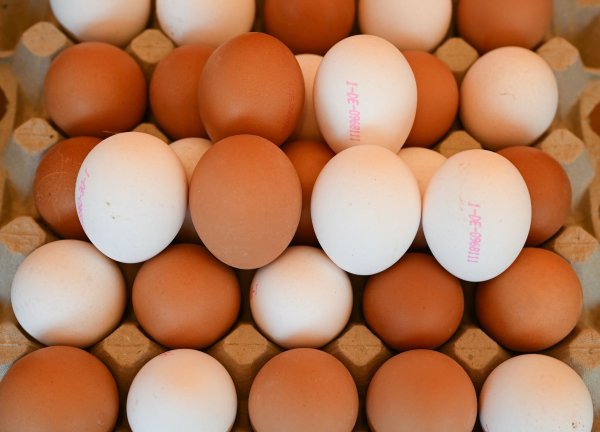 Derzeit in den USA ein rares Gut: Eier. - © Arne Dedert/dpa